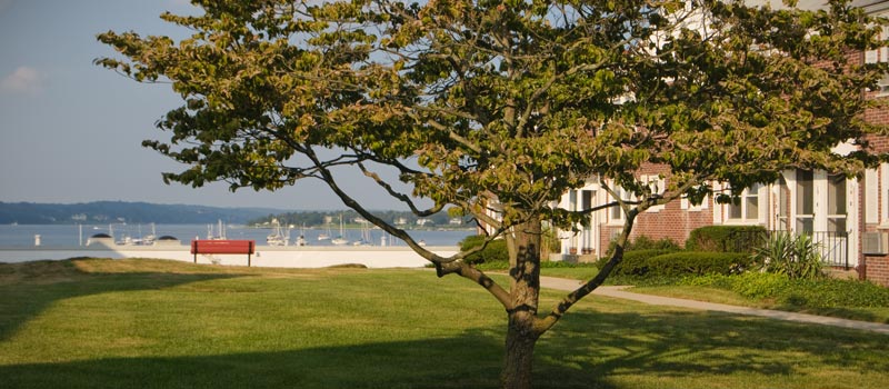 Landscape Gardens and Courtyard